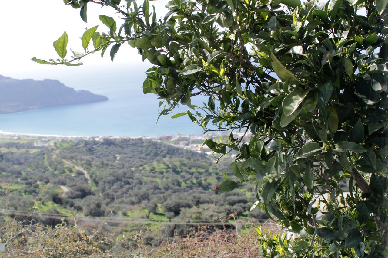 Mirthios Felicity Apartment Plakias Exteriér fotografie
